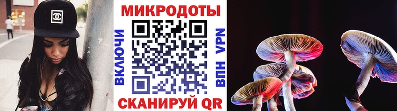 Псилоцибиновые грибы Psilocybine cubensis  Агидель 
